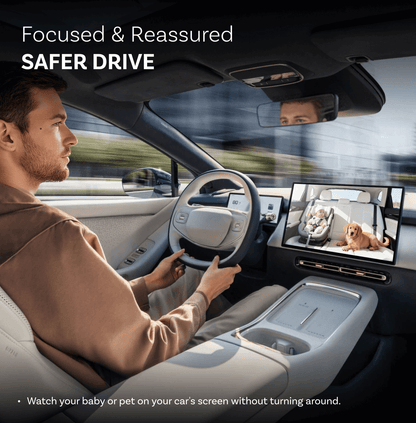 Ottocast Cabin Care Carplay Auto Adapter für Apple iPhone Series CA520-T