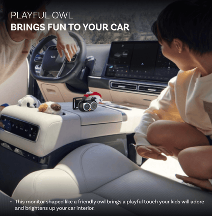 Ottocast Cabin Care Carplay Auto Adapter für Apple iPhone Series CA520-T
