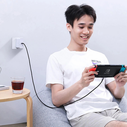 USB-C Daten- und Ladekabel - USB-C UGREEN US316, 100W, 3m, Grau