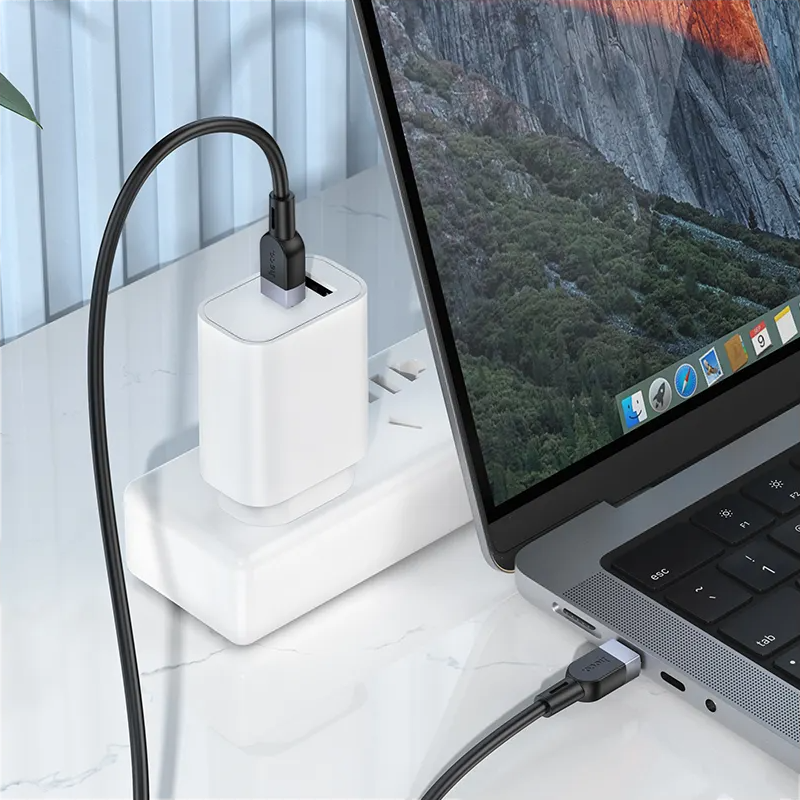 USB-C Data and Charging Cable - USB-C HOCO X109, 60W, 2m, Black