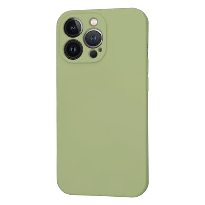 MagSafe-Hülle für Apple iPhone 13 Pro, Techsuit, SoftFlex, Matcha