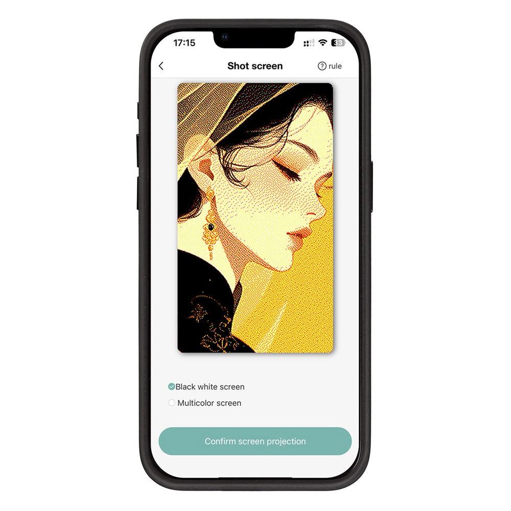 Hülle für Apple iPhone 13 Pro Max, OEM, individuell gestaltetes E-Ink-Display, Schwarz