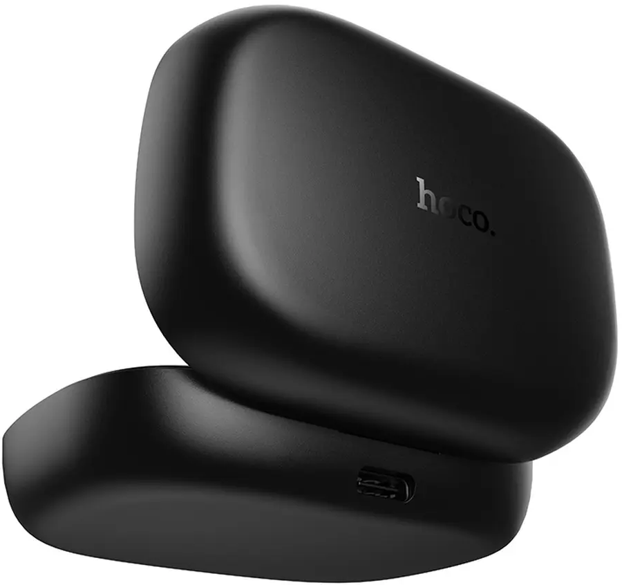 Lavaliermikrofon HOCO L27, USB-C, 2er-Set, Schwarz
