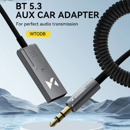 Bluetooth-Empfänger WZK WTODB 