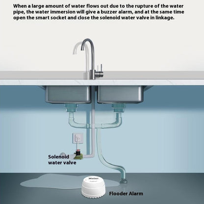 OEM SQ500B Water Leak Detection Sensor, Wi-Fi
