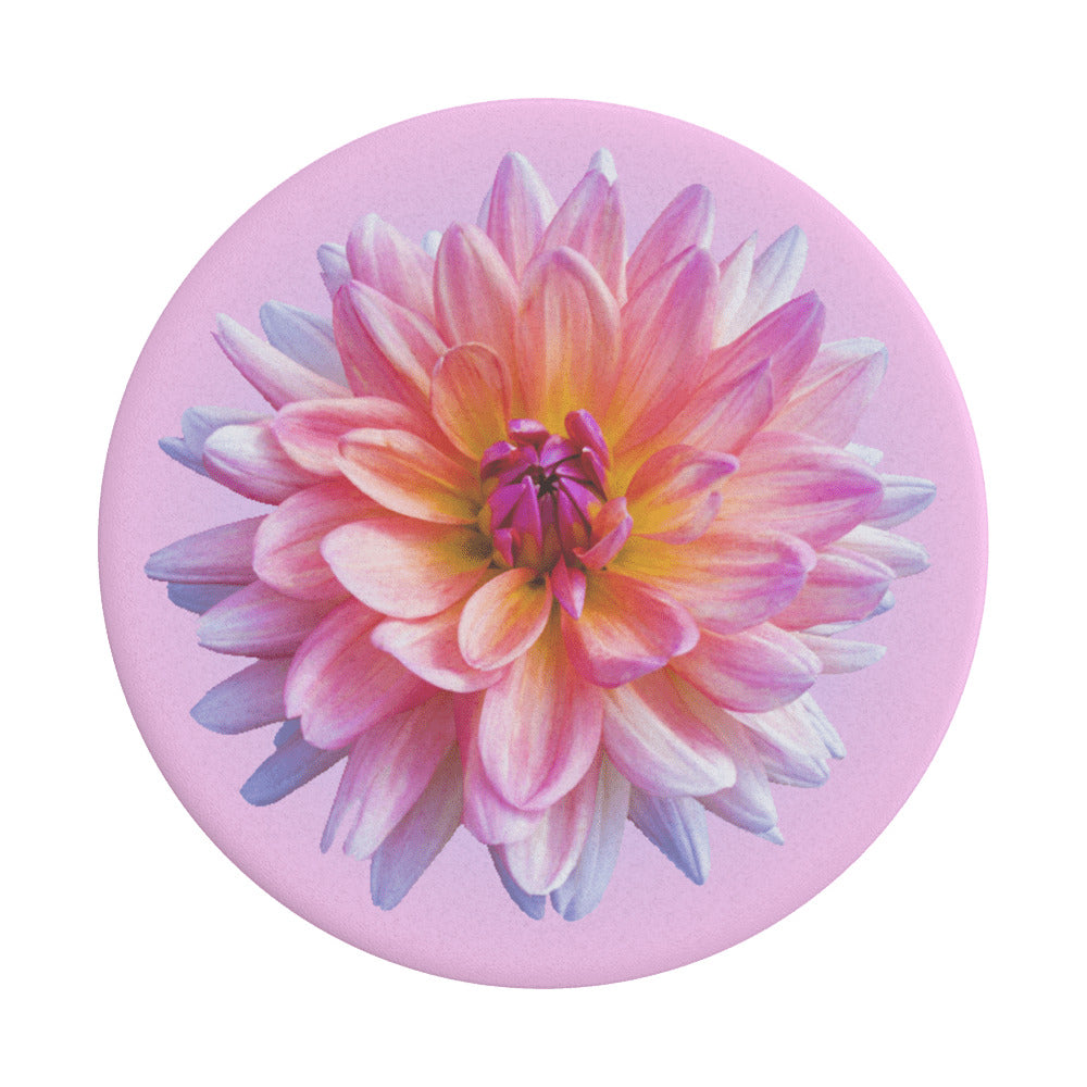 PopGrip Popsockets Dahlia Icon, Mehrfarbig
