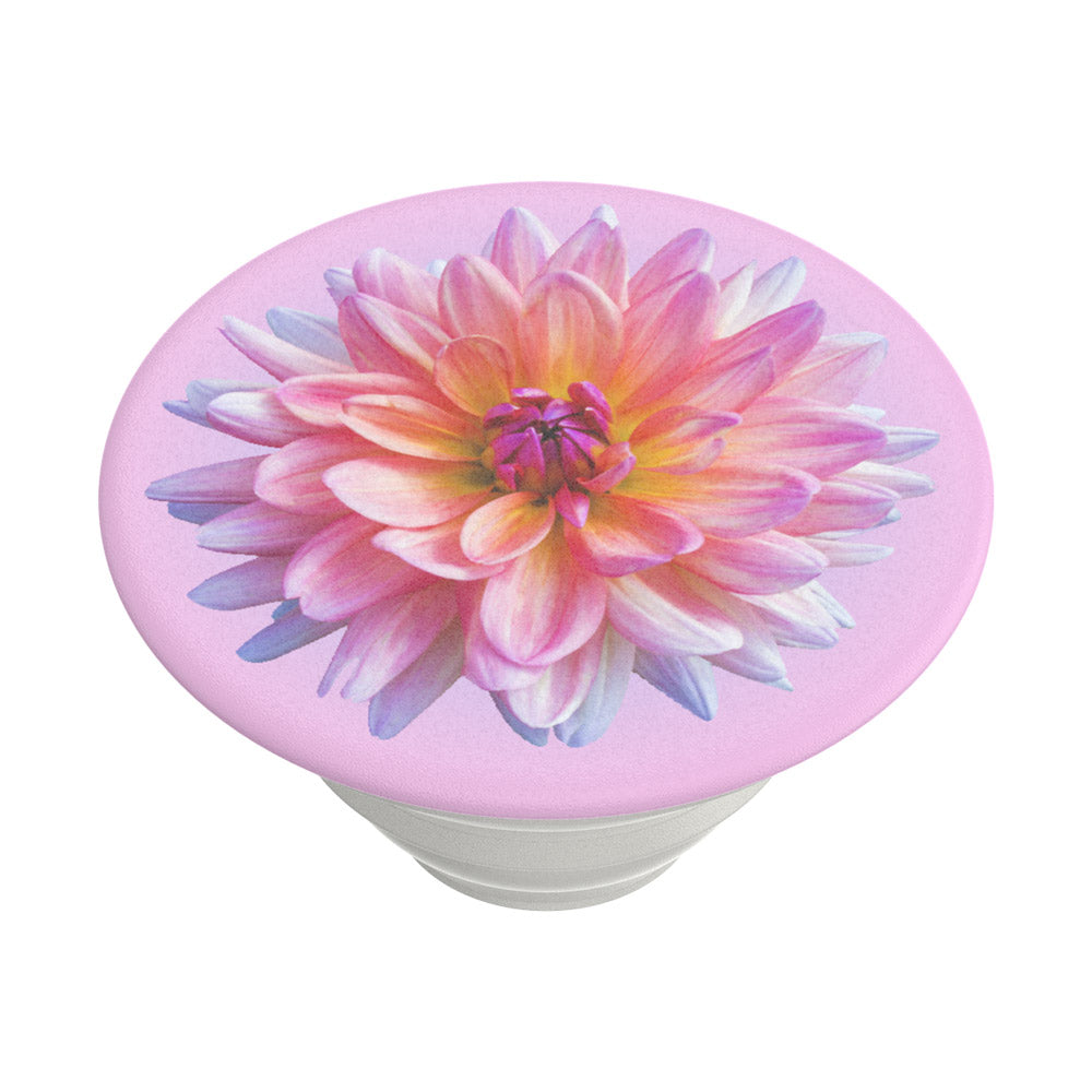 PopGrip Popsockets Dahlia Icon, Mehrfarbig